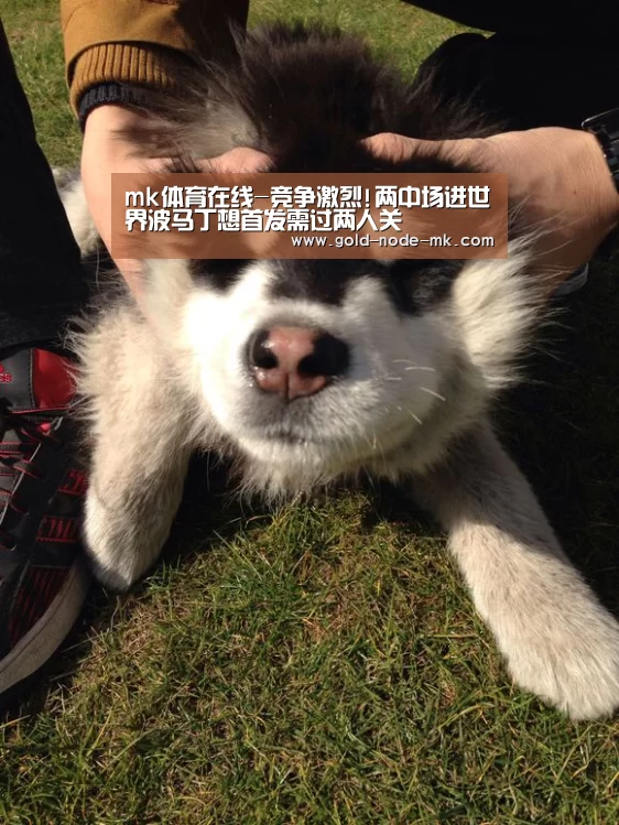 mk体育在线-竞争激烈!两中场进世界波马丁想首发需过两人关(图2) mk体育app