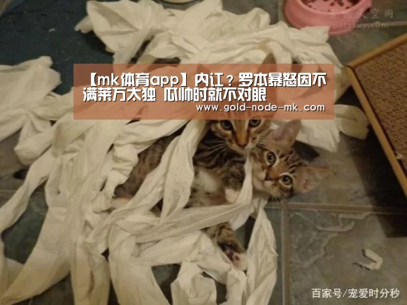 mk体育在线